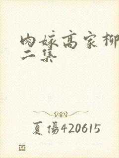 肉嫁高家柳家第二集