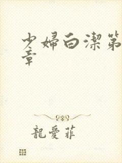 少妇白洁第十七章