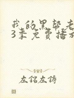 我的黑帮老大第3季免费播放在线观看封面