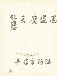 惊天魔盗团2网盘