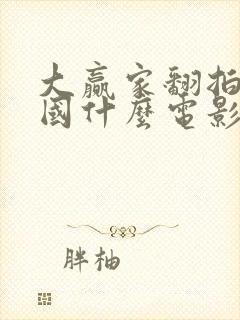 大赢家翻拍的韩国什么电影