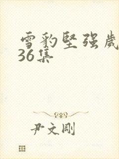 雪豹坚强岁月第36集