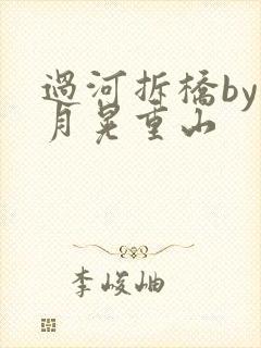 过河拆桥by江月晃重山封面