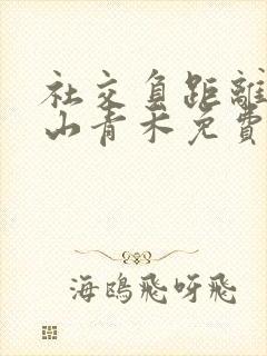 社交负距离by山青禾免费阅读