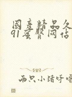 国产精品久久久91蜜臀网站