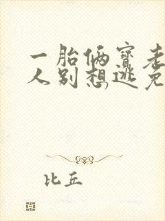 一胎俩宝老婆大人别想逃免费阅读封面