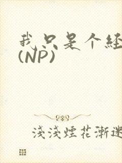 我只是个经纪人(NP)