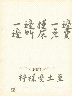 一边摸一边爽一边叫床免费视频