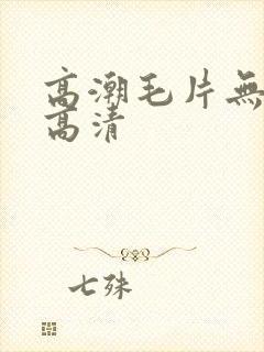 高潮毛片无遮挡高清