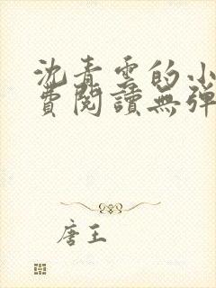 沈青云的小说免费阅读无弹窗全文最新章节