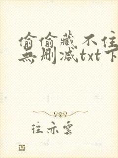 偷偷藏不住全文无删减txt下载