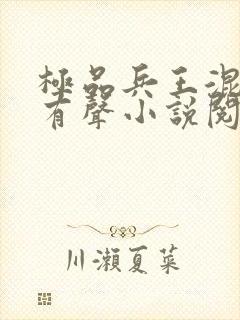 极品兵王混山村有声小说阅读