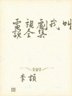 电视剧我叫刘传说全集