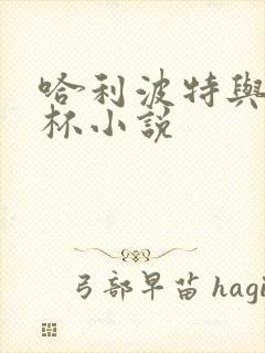 哈利波特与火焰杯小说