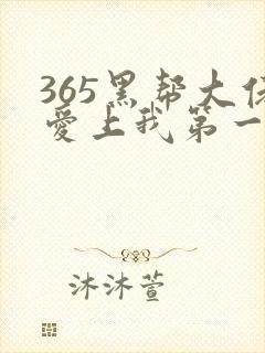 365黑帮大佬爱上我第一部剧封面