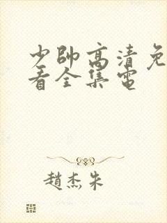 少帅高清免费观看全集电