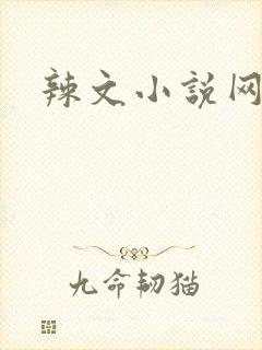 辣文小说网