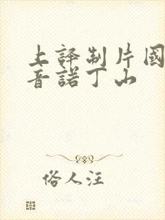 上译制片国语配音诺丁山