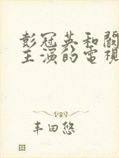 彭冠英和阚清子主演的电视剧