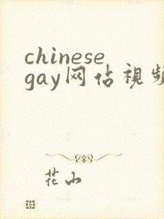 chinesegay网站视频