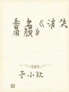 番名《消失的眼角膜》