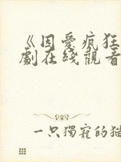 《因爱疯狂》日剧在线观看