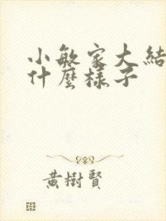 小敏家大结局是什么样子