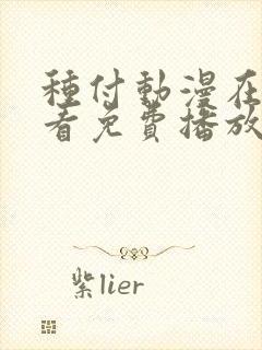 种付动漫在线观看免费播放电视剧免