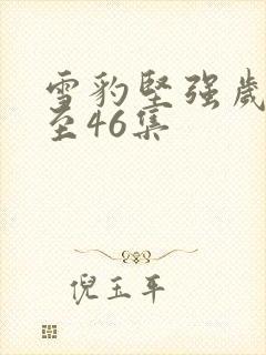 雪豹坚强岁月1至46集