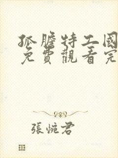 孤胆特工国语版免费观看完整高清