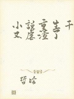 小说重生千金她又虐渣了