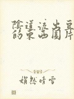 阴道流出豆腐渣的东西图片