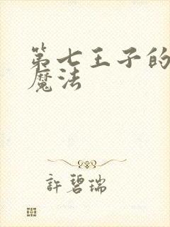 第七王子的转生魔法