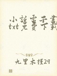 小说电子书下载txt免费下载