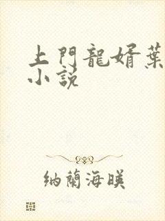 上门龙婿叶辰听小说