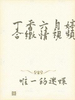 丁香六月婷婷综合缴情视频