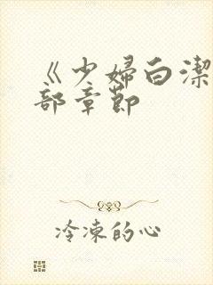 《少妇白洁》全部章节