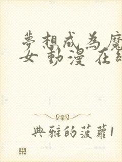 梦想成为魔法少女 动漫 在线观看封面