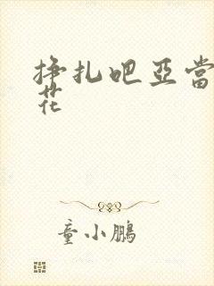 挣扎吧亚当君樱花