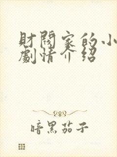 财阀家的小儿子剧情介绍封面