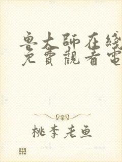 鲁大师在线影院免费观看电视剧的注