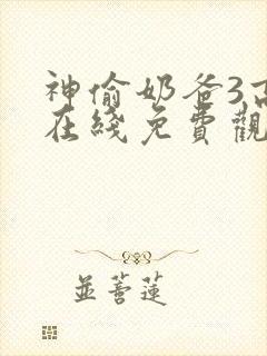 神偷奶爸3高清在线免费观看