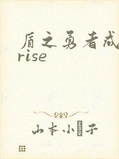 盾之勇者成名录rise