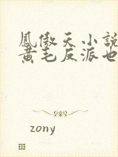 凤傲天小说里的黄毛反派也想幸