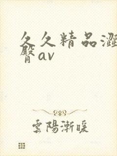 久久精品涩爱蜜臀av封面