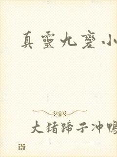 真灵九变小说版封面