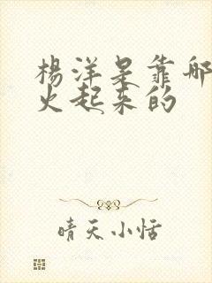 杨洋是靠哪部剧火起来的