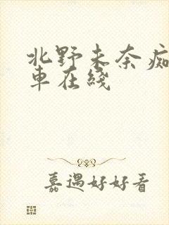 北野未奈痴汉电车在线