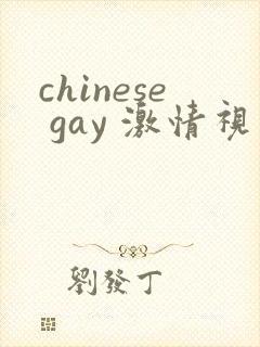 chinese gay 激情视频