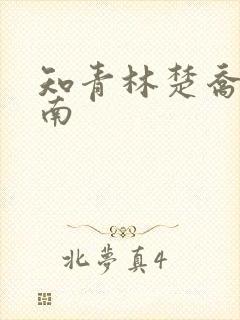 知青林楚乔李向南